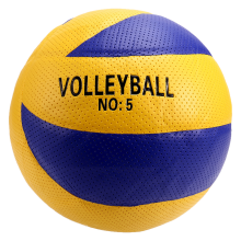 Maat 5 Professionele Volleybal Competitie Training Volleybal