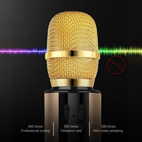 Bluetooth-Doppellautsprecher, Karaoke-Mikrofon für Live-Streaming, Sprache, Gold 2