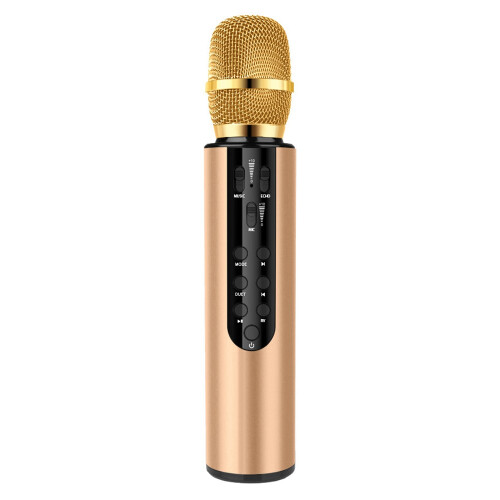 Bluetooth-Doppellautsprecher, Karaoke-Mikrofon für Live-Streaming, Sprache, Gold