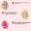 Electric Breast Enlargement Massage Machine Heating Breast Massager with Remote ControlWhite 11