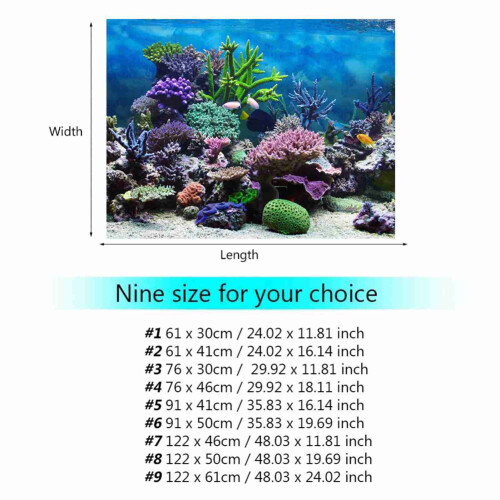 PVC-Selbstklebeposter 76x46cm buntes Korallenposter 1