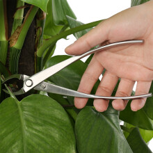 Professional Round Edge Cutter Stainless Steel Garden Branch Cutter Bonsai Tools