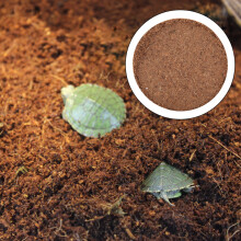 Reptile Coconut Soil Pad for Spider Lizards Scorpion Landscaping Decor