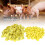 100pcs Livestock Round Number Ear Tag Label Marker Accessory for Pig Sheep Cattle 12