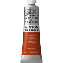 Winsor & Newton Winton Oil Color 37ml (1,25 oz) Tube verbrand Sienna