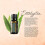 doTERRA doTERRA Eucalyptus Radiata Ätherisches Öl - 15 ml 4