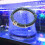 Aquarium Round Air Bubble Diffuser Ring Fish Pond Oxygenation Bubbler(Single Ring Dia 15cm) 12