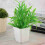 20pcs Mini Modern Succulent Plant Pots Small plastic Containers, Scrub square Pots（White） 7