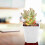 20pcs Mini Modern Succulent Plant Pots Small plastic Containers, Scrub square Pots（White） 8