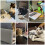 ebuddy Mini Dollhouse Toy Cat Laptop Tiny Fake Computer Mirror for Cat (White) 3