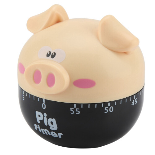 Schweinchen Timer ohne Batterie
