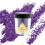 Ebin New York Secret de Pharaon Body & Face Glitter (Magic) 2