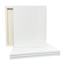 5 Count 16 x 20 Super Value Canvas od Artist's Loft  Bavlnen pltno bez obsahu kyselin pro malovn akrylem a oleji  1 balen