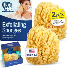 HartFelt Yellow Sea Sponge Beauty Box for Gentle Exfoliation | 2 Bath Sponges for Shower Women & Men 4 in | Body Sponge with Mesh Bag for Cleanin