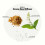 Apotheke Luxury Scented Oil Reed Diffuser Liquid Refill (Canvas) - Premium Home Fragrance Diffuser Refill Set with Sticks 2