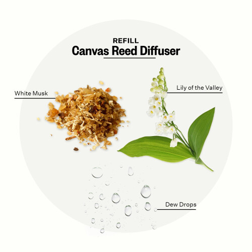 Apotheke Luxury Scented Oil Reed Diffuser Liquid Refill (Canvas) - Premium Home Fragrance Diffuser Refill Set with Sticks 1