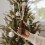 Sweet Water Decor Christmas Reed Diffuser Set - Christmas Scented Reed Diffuser w/Fresh Cut Trees and Orange Scent - Reed Diffusers for Home with 4