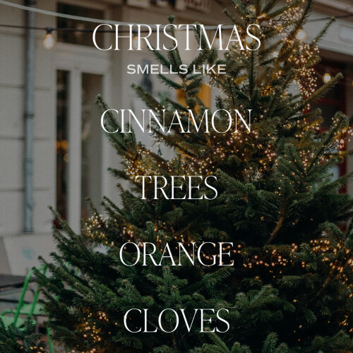 Sweet Water Decor Christmas Reed Diffuser Set - Christmas Scented Reed Diffuser w/Fresh Cut Trees and Orange Scent - Reed Diffusers for Home with 2