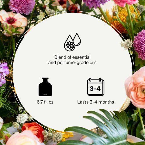 Apotheke Luxury Scented Oil Reed Diffuser Liquid Refill (Canvas) - Premium Home Fragrance Diffuser Refill Set with Sticks 2