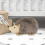 Oreiller d   cor en forme de hedgehog lun. 3
