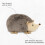 Oreiller d   cor en forme de hedgehog lun. 2