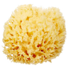 HartFelt Delicate Skin Wool Morsk houba 4 v | Skutecn prrodn houby pro jemnou pci o telo a oblicej | Luxusn pena