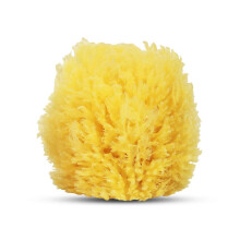 HartFelt Exfoliating Grass Sea Sponge 4in | Natural Exfoliating Body Scrubber Sponge for Shower for Women and Men