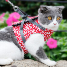 Entwickelt, um Ausbruchsicher zu sein – Katzen-Halsung mit gepolstertem Sitz & Leine, weiches Mesh, Rot, Größe XS