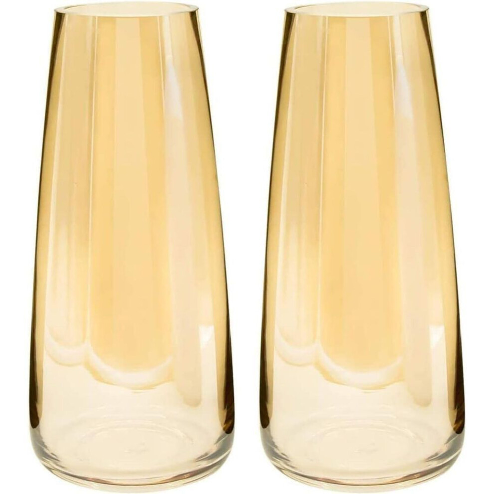 New Set Of 2 Flower Vase For Living Room - Decorative Items For Home Decor Dining Table Hall Bedroom Office Kitchen Gifting Decorations Items