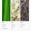 24K Magic Diffuser Öl 120mL - Hotel-Duftöl für Diffuser - Inspiriert von W Hotels 4