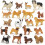 Muchfun 20 stk Hundelegetjsfigurer til brn Legetjsdyrsfigur til kagetopper 1