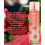 Forever 21 Anganelli Crush Body Mist 8 FL. Oz 2