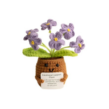 ZRXKSOPP Inspirerende Positieve Gehaakte Pluche Bloemen, Emotionele Steun Gehaakte Pot