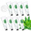 Gel d'aloe vera Wenjlyj 8pc 1