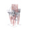 24pc Flatware Set With Stand Dinnerware Set Stainless Steel Cutlery Tableware Set For Party Any Occ 2