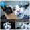 Fisheye Wide Angle Macro CPL Starlight 6‑in‑1 Set Phone Lens 6