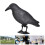 Unique Simulation Crow Hunting Bait Tool Holiday Decoration Desktop Decor Blackblack 6