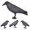 Unique Simulation Crow Hunting Bait Tool Holiday Decoration Desktop Decor Blackblack 8