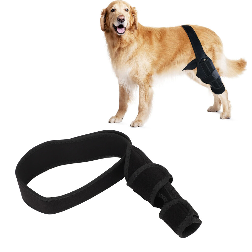 Knee Brace for Dogs ACL CCL Cruciate Ligament Injuries Extra Support Adjustable Back Strap Dog Leg Brace M