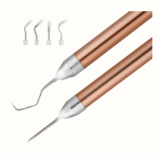 2Pcs LED Weeding Tools for Vinyl: Lighted Pen with Pin & Hook