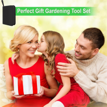 24-Piece Bonsai Tool Kit, Shape Maintenance