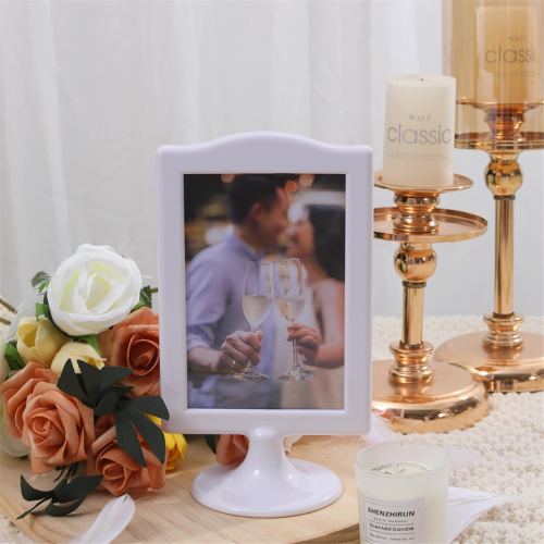 Double Sided Standing Picture Frames 2 Side Pedestal 2