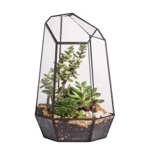 NCYP Geometric Glass Terrarium Planter for Succulent  Small Cacti  Black Irregular Opened Container Pot  Indoor Home Garden Office Tabletop Decor