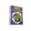 Teenage Mutant Ninja Turtles 23DVD 1