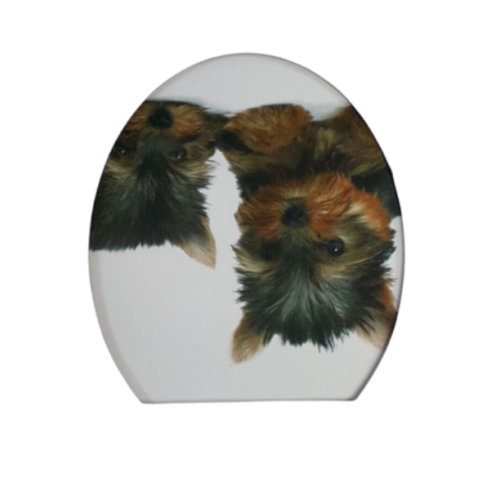 SQ Professional PUPPY DESIGN STYLISH WHITE TOILET SEAT (White)