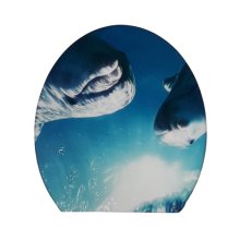 UNDER SEA DESIGN STYLISH COMFORT TOILET SEAT (White)