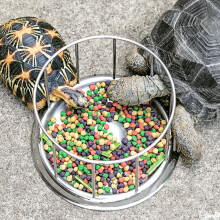 Kleine silberfarbene Edelstahl-Futterschale für Reptilien