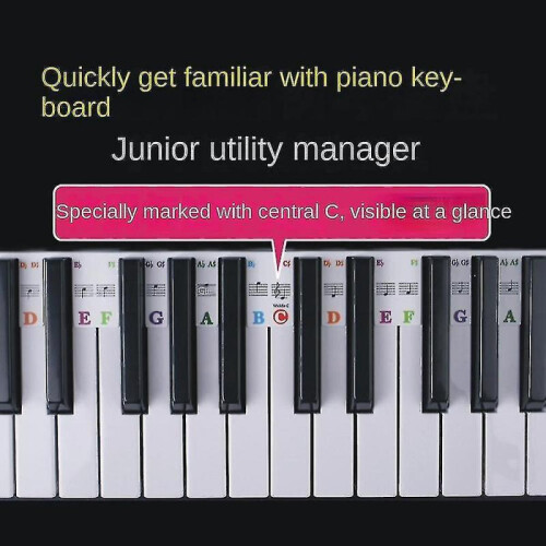 Piano Keyboard Stickers Grand/electric Piano 61 Keys Stave Notation Note Strip Label for Beginners Students 1