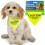 Ancol Warning Bandana Respect My Space Yellow Small/medium 10cm 1