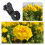 Telefon-Clip-On-Linse: 120 Weitwinkel, 10 Makro, Schwarz 7
